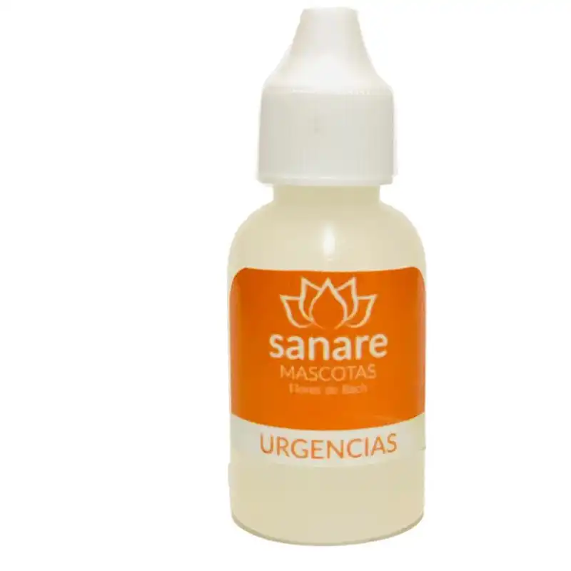 cosmeticosveganosmascotas-460057
