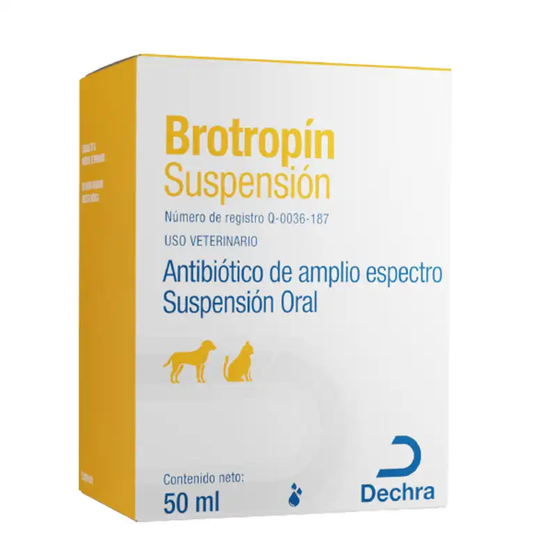 cosmeticosveganosmascotas-465346