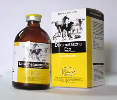 cosmeticosveganosmascotas-468048