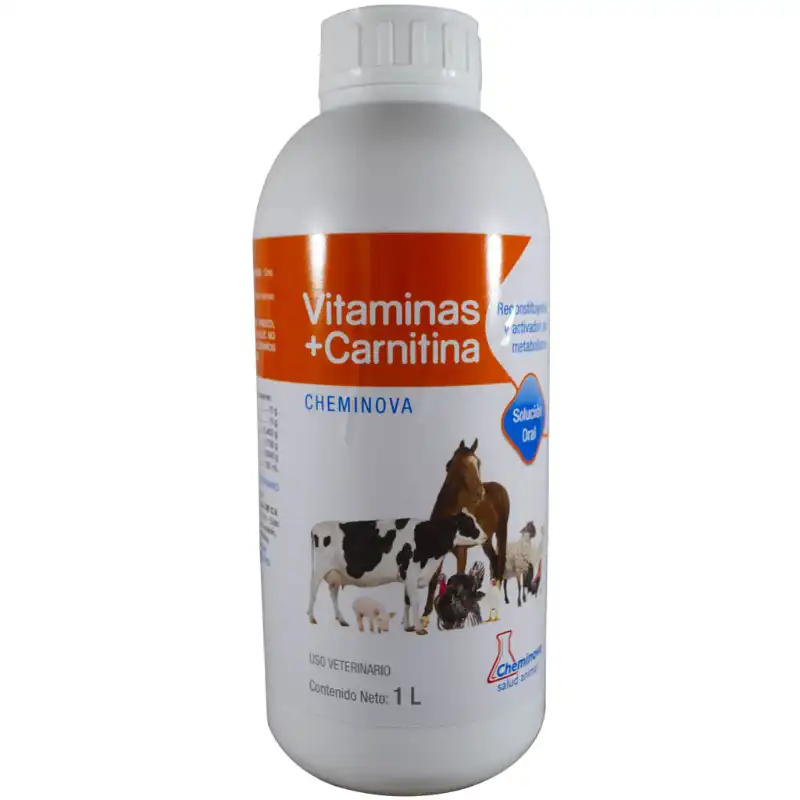cosmeticosveganosmascotas-468170