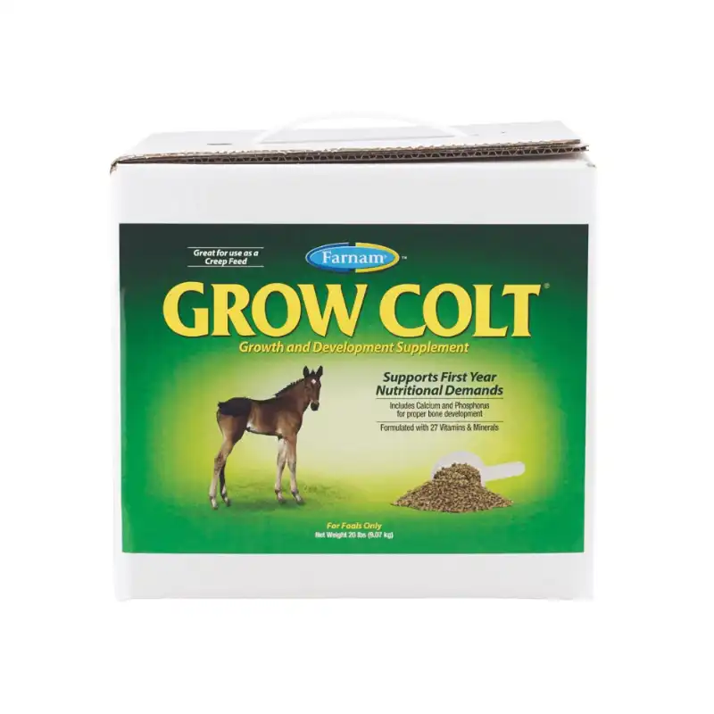cosmeticosveganosmascotas-473562