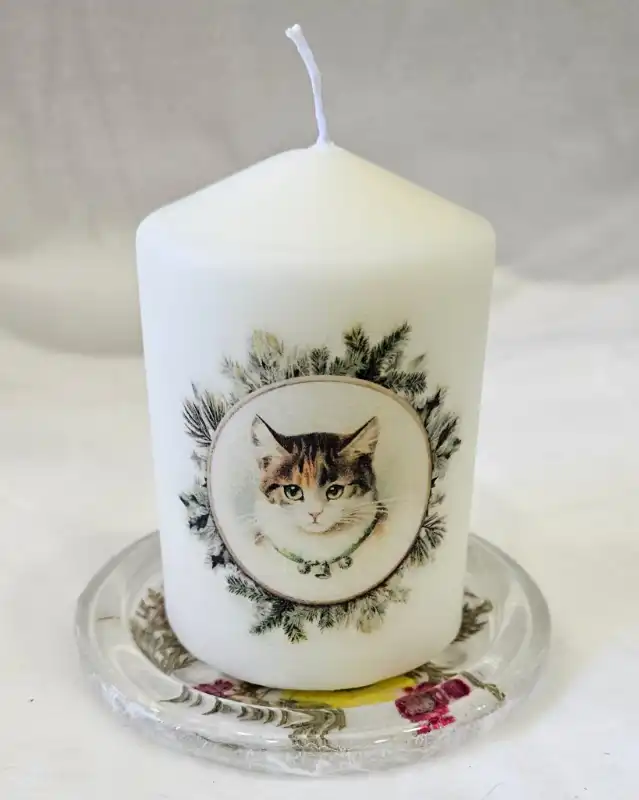 cosmeticosveganosmascotas-474103