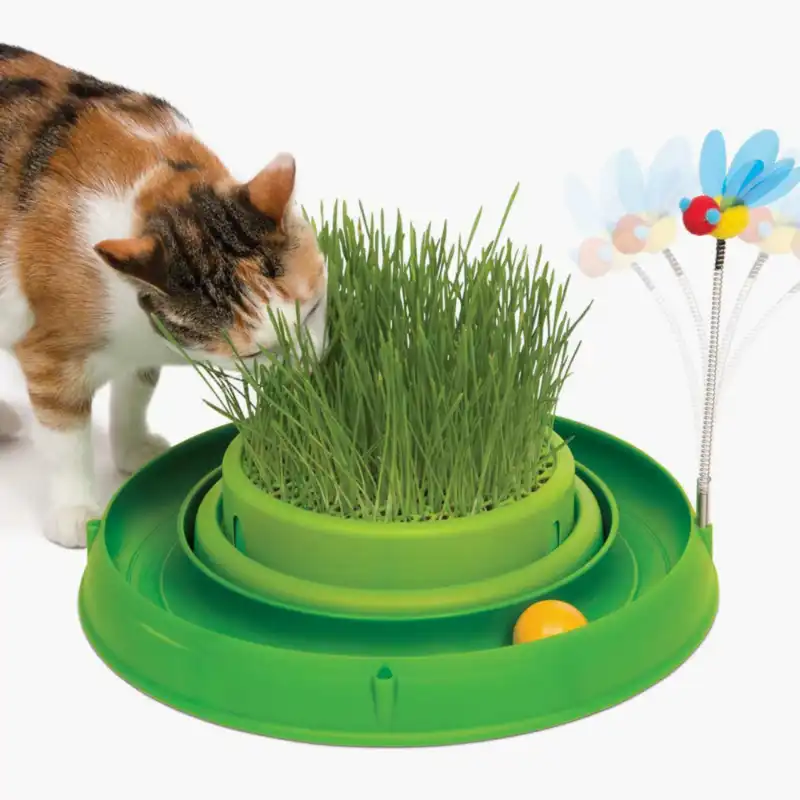 cosmeticosveganosmascotas-476919