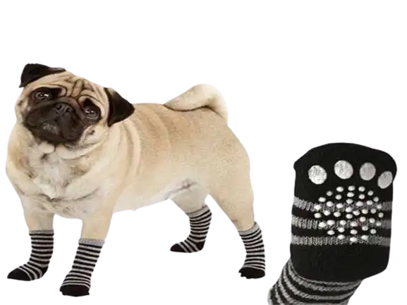 cosmeticosveganosmascotas-478088