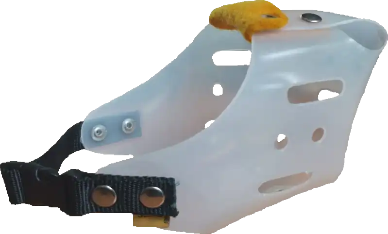 cosmeticosveganosmascotas-478353