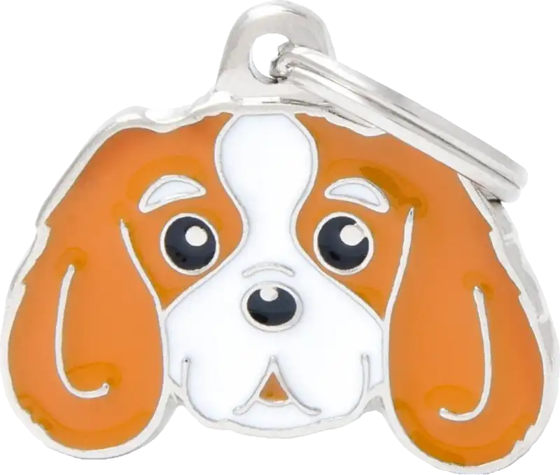 cosmeticosveganosmascotas-478358