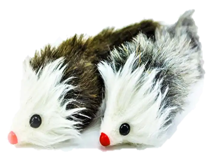cosmeticosveganosmascotas-478500