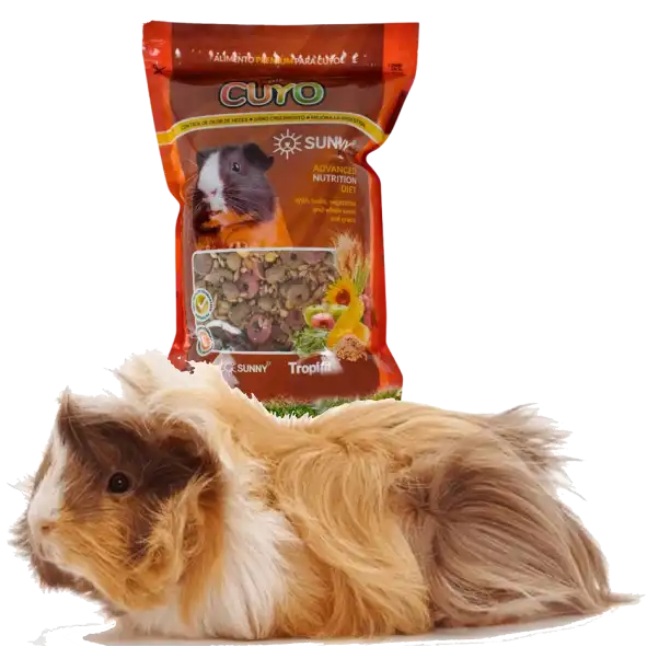 cosmeticosveganosmascotas-479130