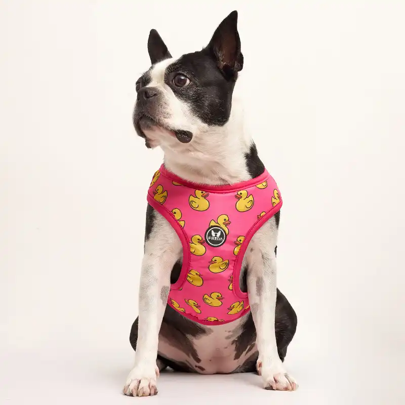 cosmeticosveganosmascotas-479458