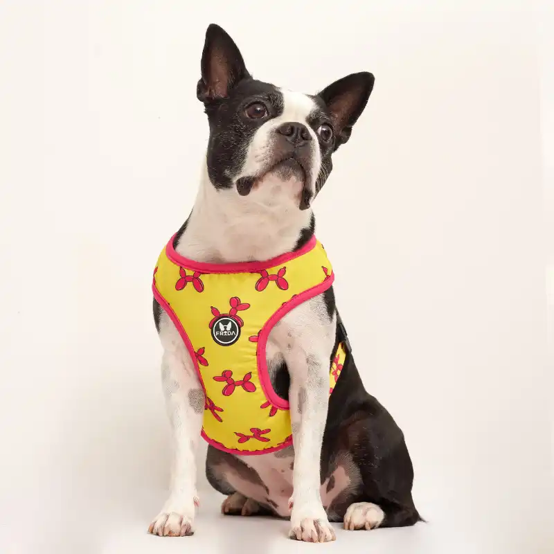 cosmeticosveganosmascotas-479471
