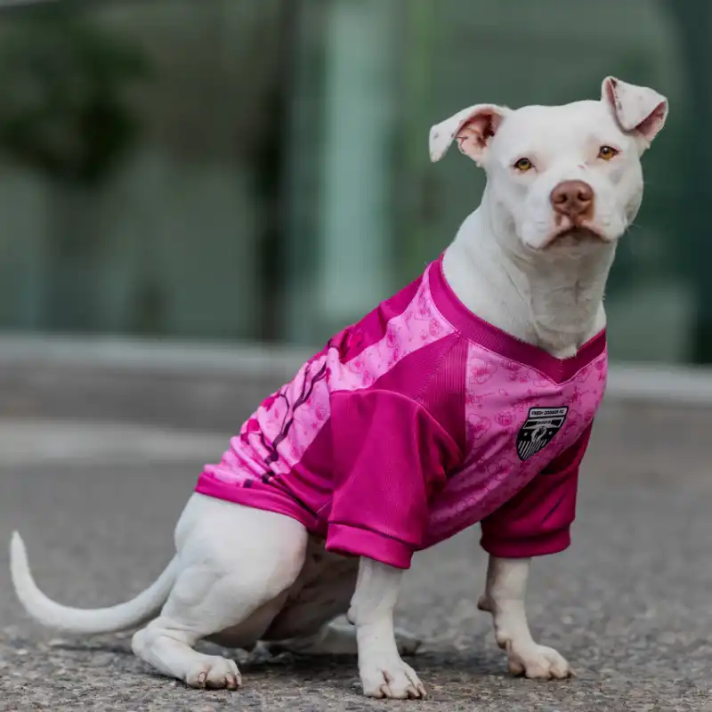 cosmeticosveganosmascotas-480053