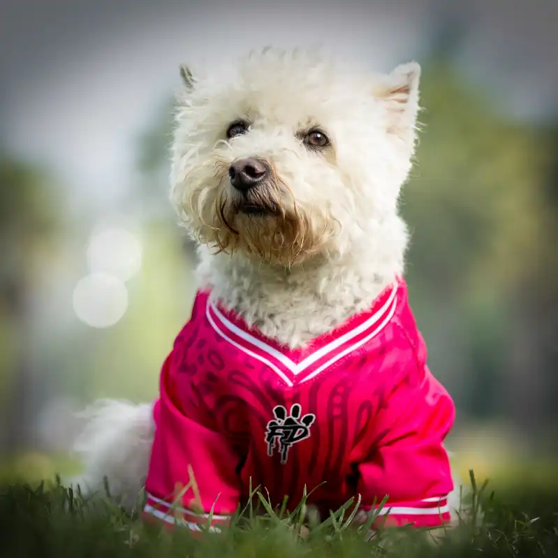 cosmeticosveganosmascotas-480064