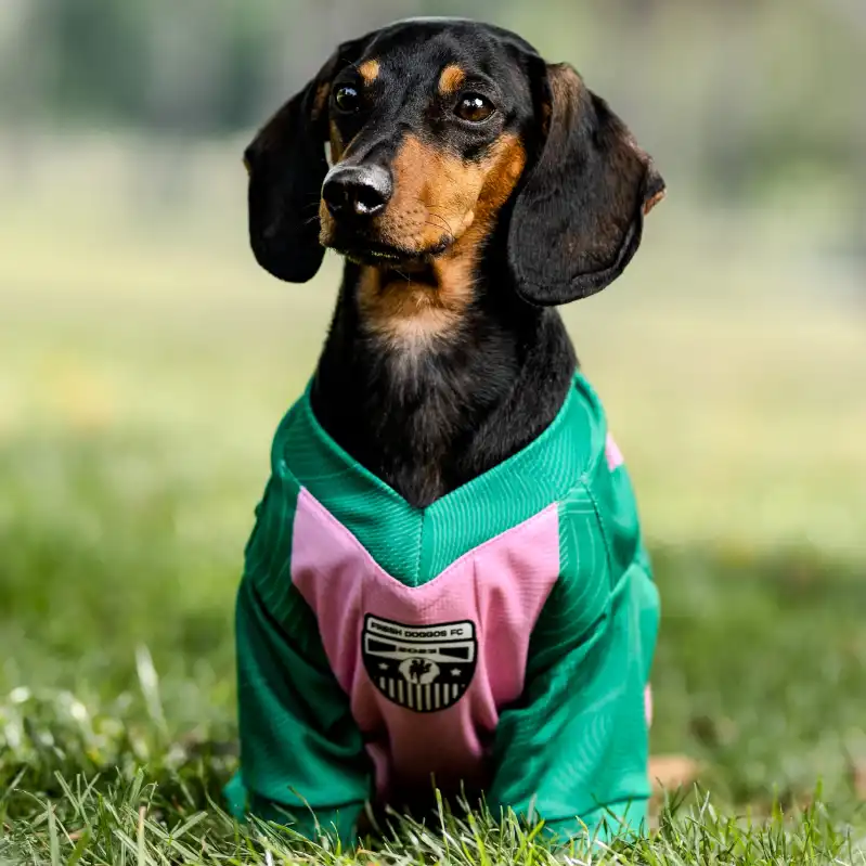 cosmeticosveganosmascotas-480069