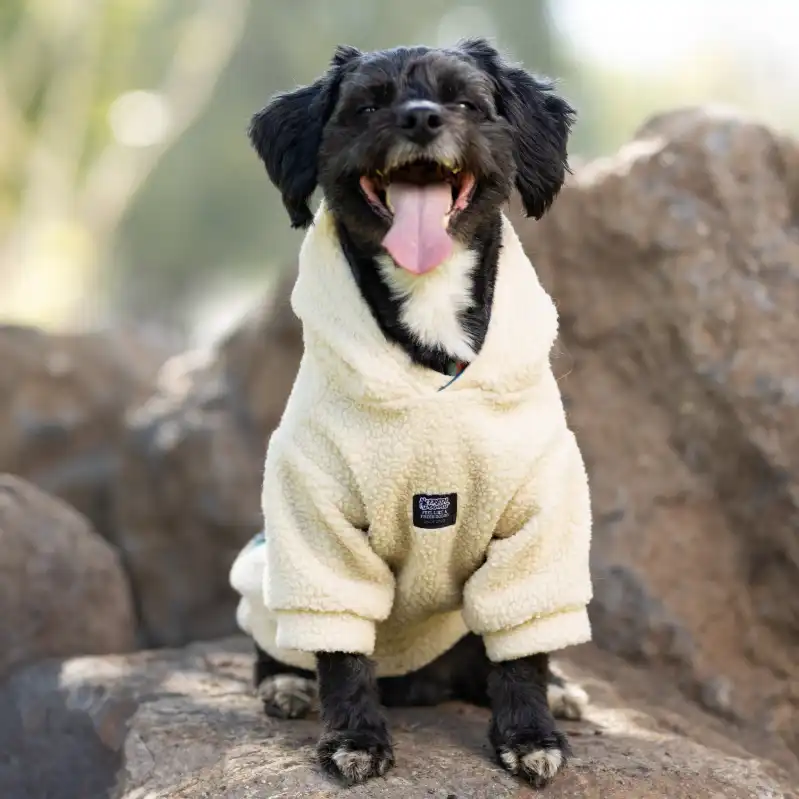 cosmeticosveganosmascotas-480098
