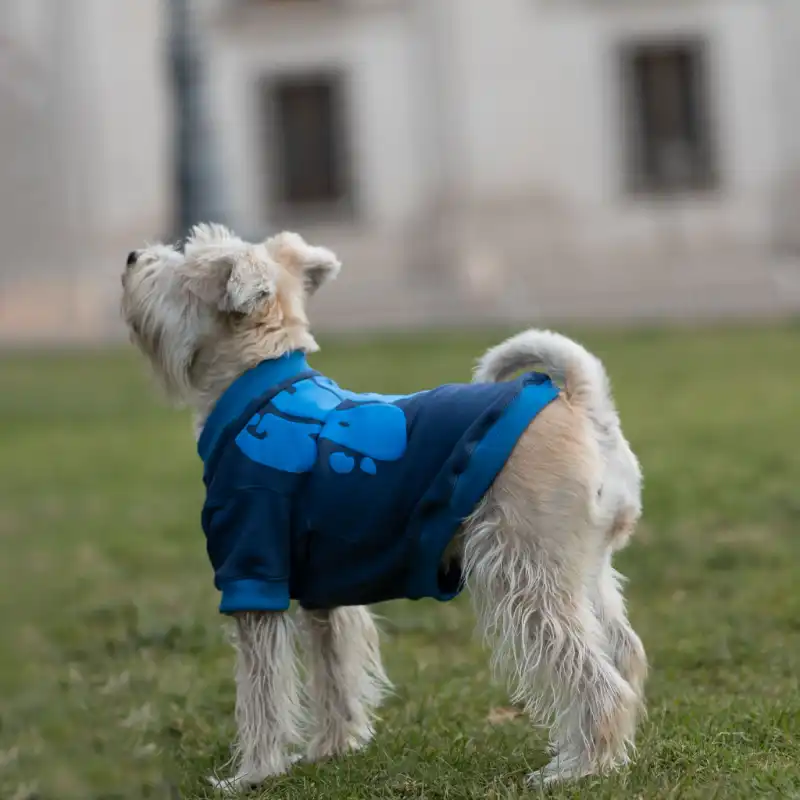 cosmeticosveganosmascotas-480138