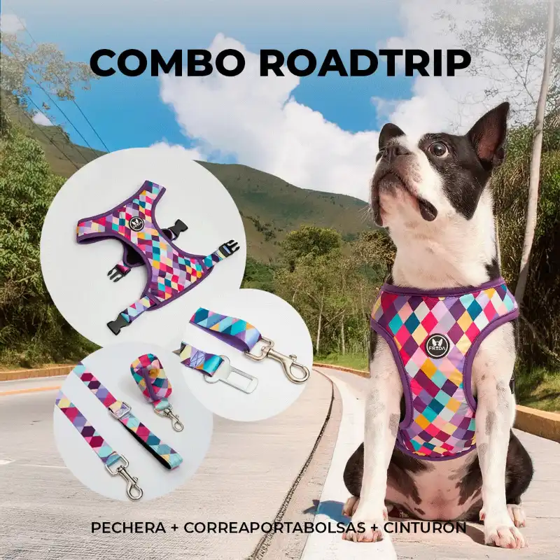 cosmeticosveganosmascotas-480164