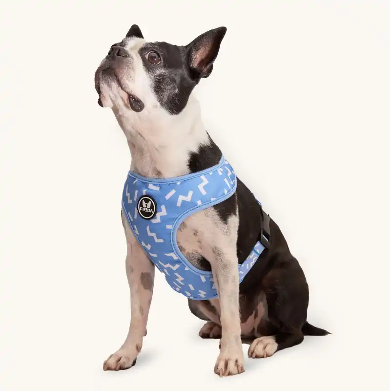 cosmeticosveganosmascotas-480199