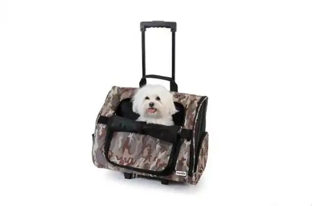 cosmeticosveganosmascotas-480316
