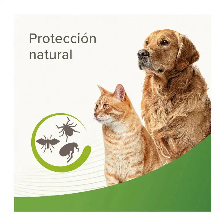 cosmeticosveganosmascotas-483385