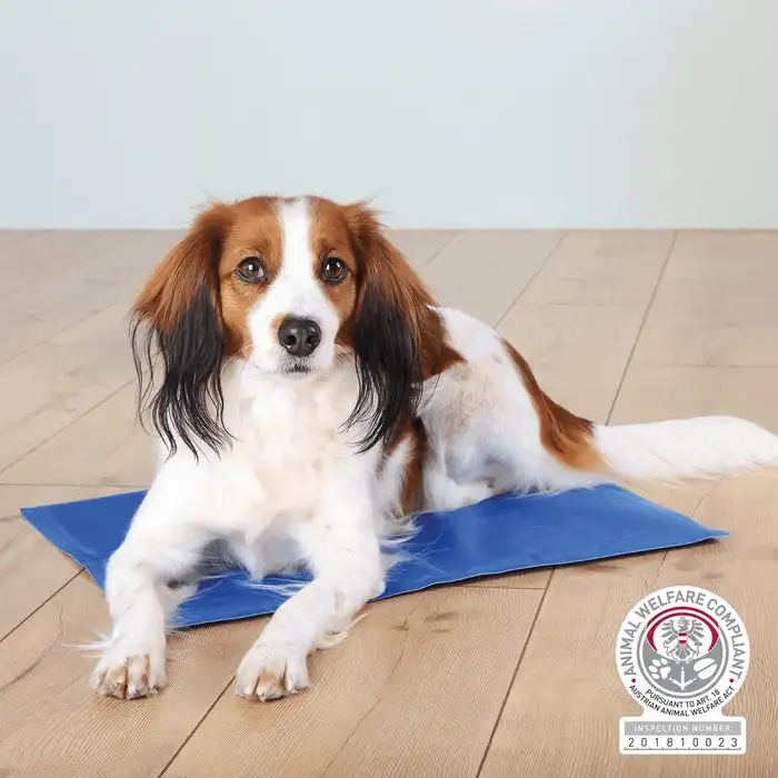 cosmeticosveganosmascotas-483825