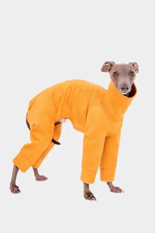 cosmeticosveganosmascotas-486459
