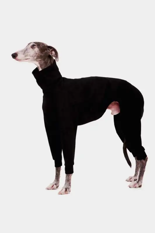 cosmeticosveganosmascotas-486624