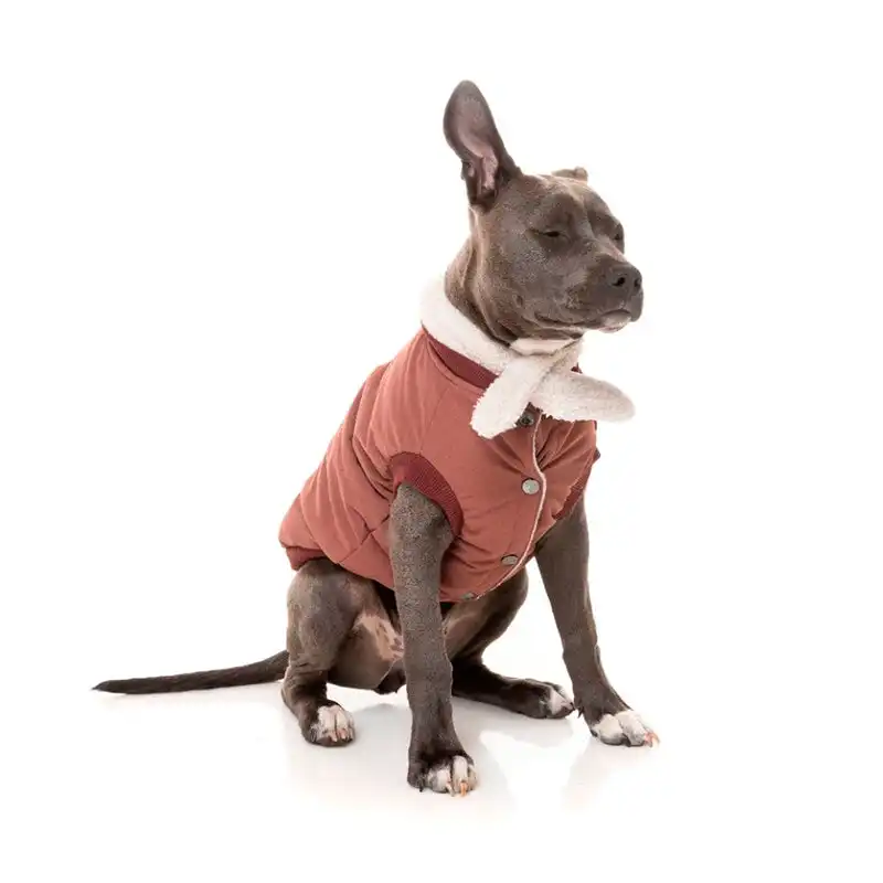 cosmeticosveganosmascotas-487348