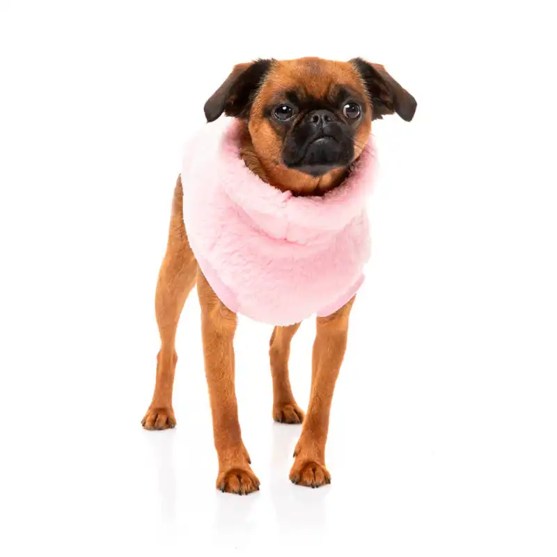 cosmeticosveganosmascotas-487355