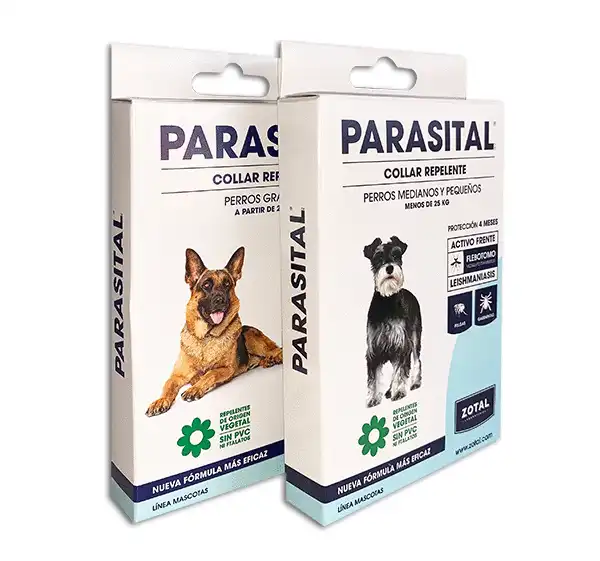 cosmeticosveganosmascotas-488763
