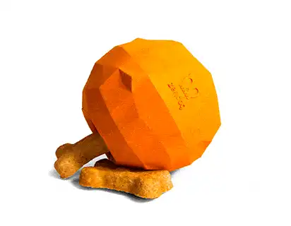 cosmeticosveganosmascotas-489196