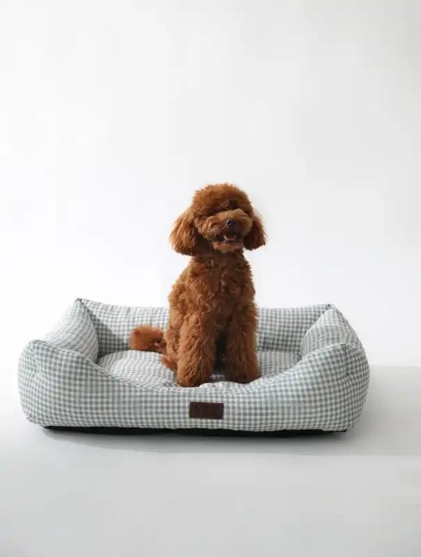 cosmeticosveganosmascotas-489464