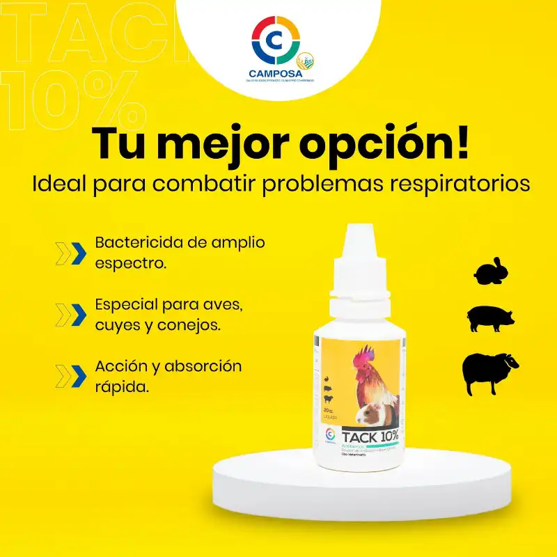 cosmeticosveganosmascotas-489976