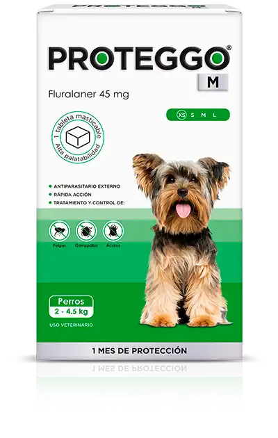 cosmeticosveganosmascotas-490081