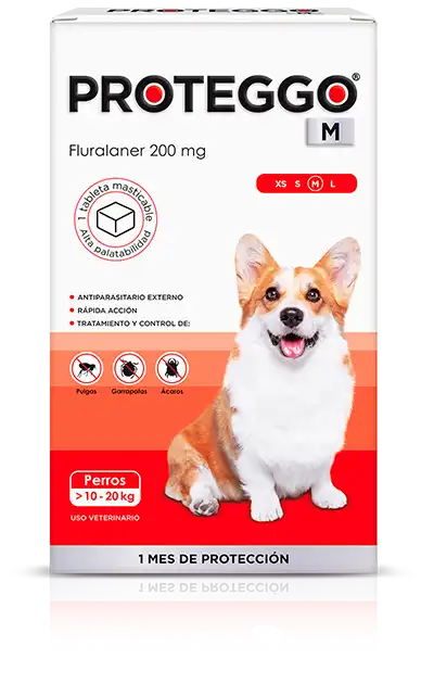 cosmeticosveganosmascotas-490105