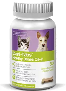 cosmeticosveganosmascotas-490166