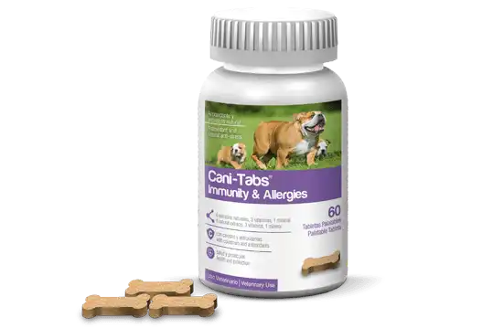 cosmeticosveganosmascotas-490191