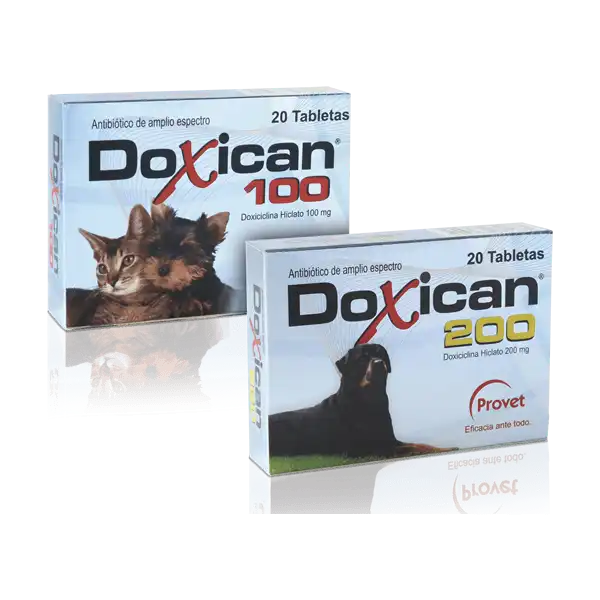 cosmeticosveganosmascotas-490266