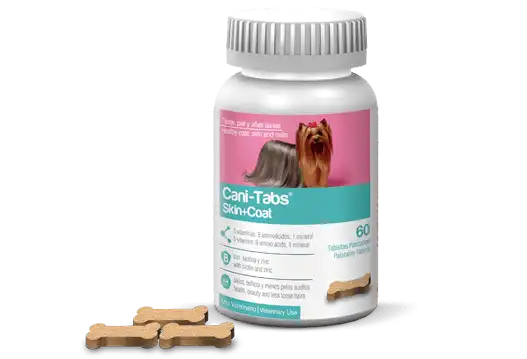 cosmeticosveganosmascotas-490310
