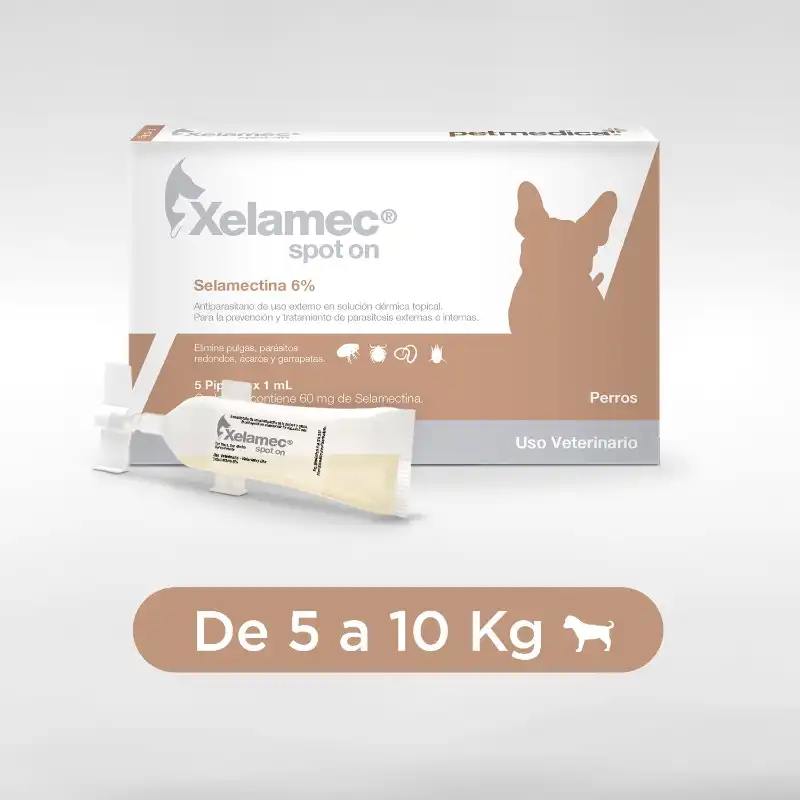 cosmeticosveganosmascotas-490347