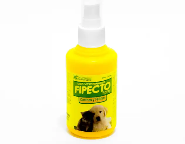 cosmeticosveganosmascotas-490544