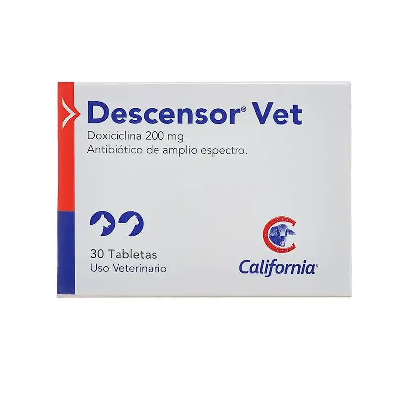 cosmeticosveganosmascotas-490646