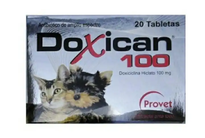 cosmeticosveganosmascotas-490677