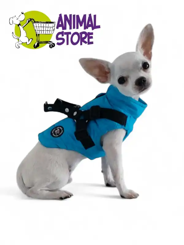 cosmeticosveganosmascotas-491573