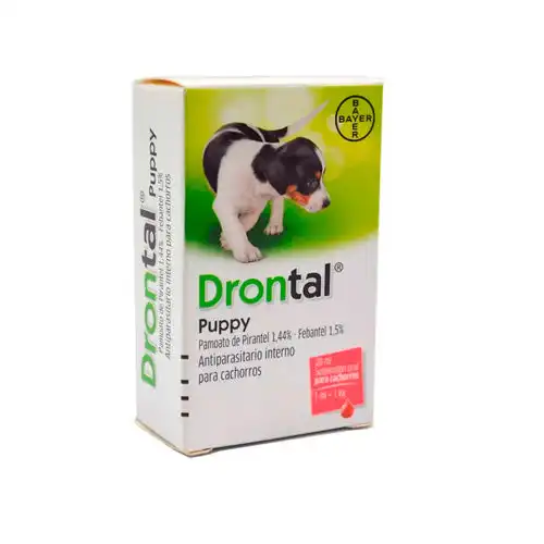 cosmeticosveganosmascotas-492910