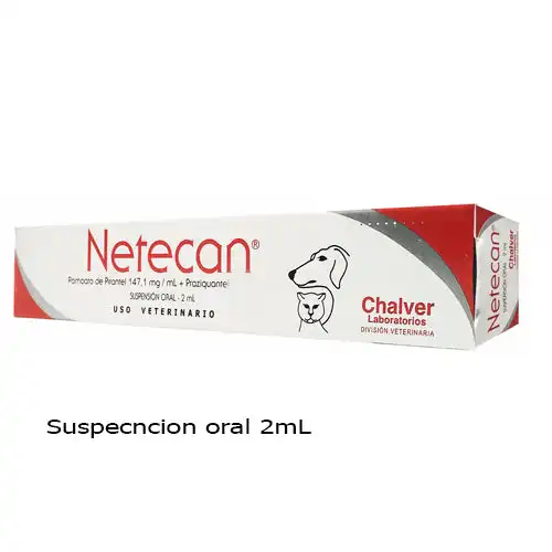 cosmeticosveganosmascotas-493174