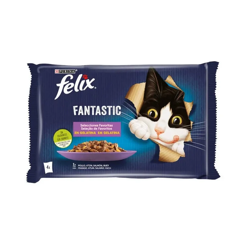 madagascarmascotas447195