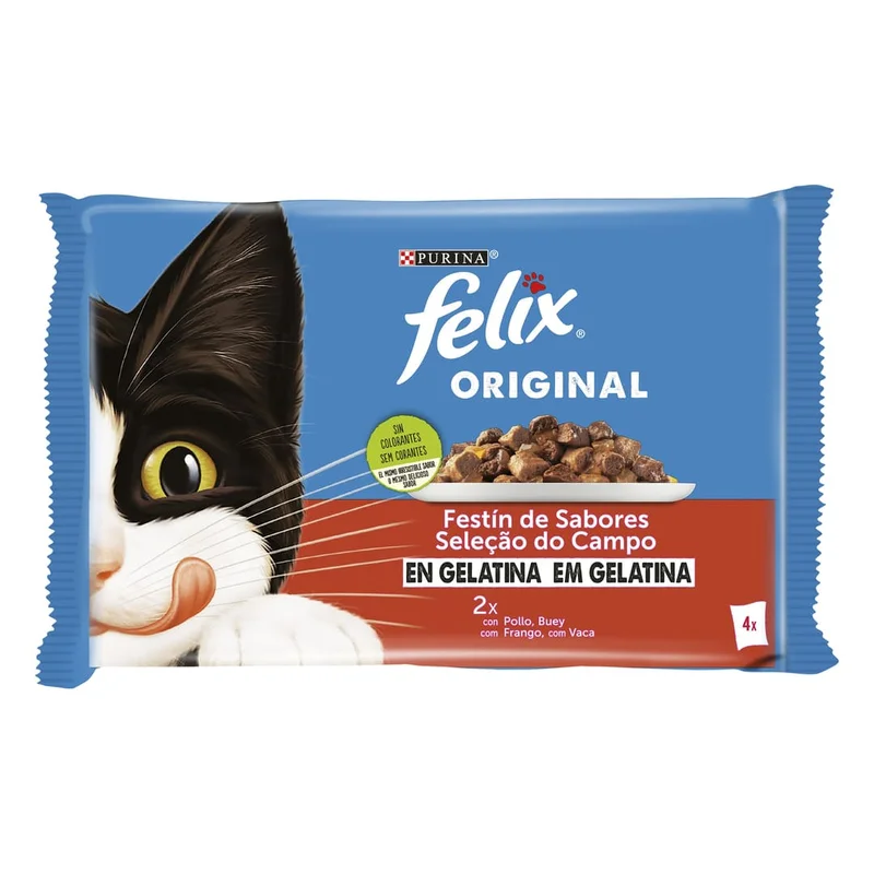 madagascarmascotas447541