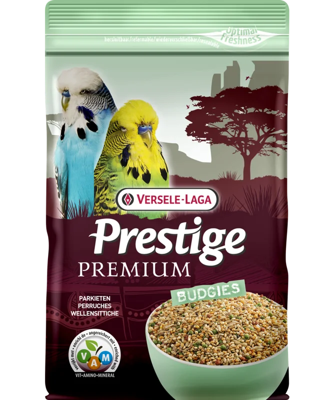 madagascarmascotas510200