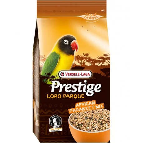 madagascarmascotas511366