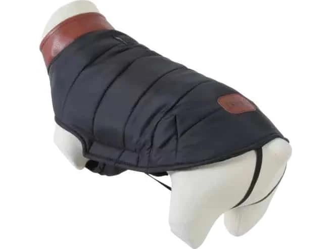 mascotasdama-492120